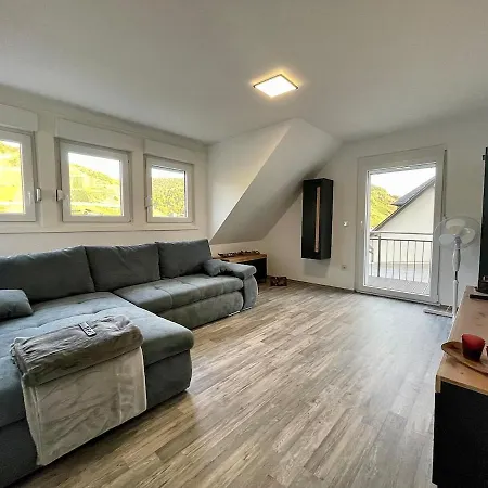 Wellness Haus In Zell, 3 Komplette Wohnungen, Moselblick, Sauna, Whirlpool, 3 Balkone, Grill