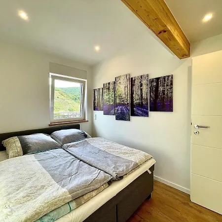 Wellness Haus In Zell, 3 Komplette Wohnungen, Moselblick, Sauna, Whirlpool, 3 Balkone, Grill