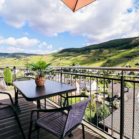 Wellness Haus In Zell, 3 Komplette Wohnungen, Moselblick, Sauna, Whirlpool, 3 Balkone, Grill * 첼 안 데어 모젤