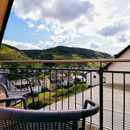 Wellness Haus In Zell, 3 Komplette Wohnungen, Moselblick, Sauna, Whirlpool, 3 Balkone, Grill 펜션 첼 안 데어 모젤