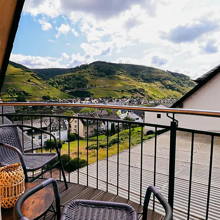 Wellness Haus In Zell, 3 Komplette Wohnungen, Moselblick, Sauna, Whirlpool, 3 Balkone, Grill *