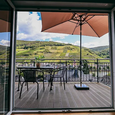 Wellness Haus In Zell, 3 Komplette Wohnungen, Moselblick, Sauna, Whirlpool, 3 Balkone, Grill 첼 안 데어 모젤