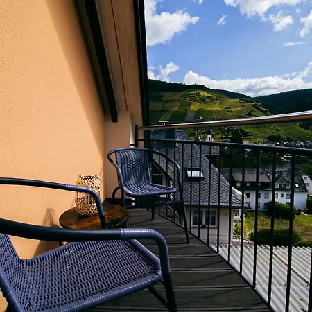 펜션 Wellness Haus In Zell, 3 Komplette Wohnungen, Moselblick, Sauna, Whirlpool, 3 Balkone, Grill