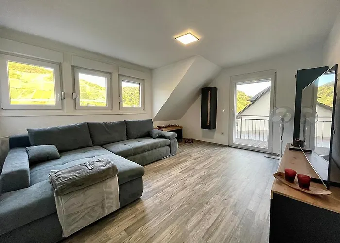 Wellness Haus In Zell, 3 Komplette Wohnungen, Moselblick, Sauna, Whirlpool, 3 Balkone, 14 Gaeste