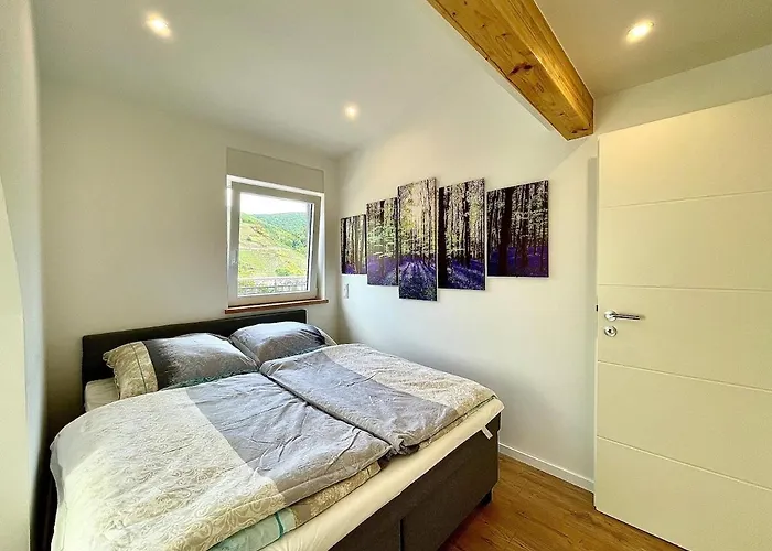 Wellness Haus In Zell, 3 Komplette Wohnungen, Moselblick, Sauna, Whirlpool, 3 Balkone, 14 Gaeste