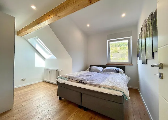 Wellness Haus In Zell, 3 Komplette Wohnungen, Moselblick, Sauna, Whirlpool, 3 Balkone, 14 Gaeste Zell an der Mosel